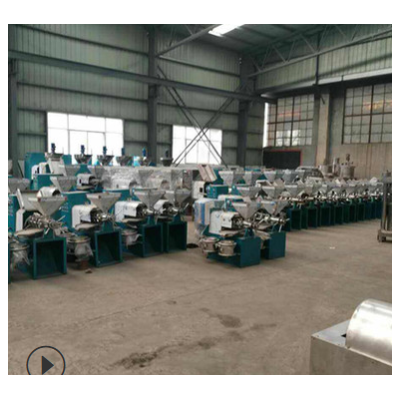 全自動螺旋花生榨油機 菜籽葵花籽榨油機 創業多功能榨油機