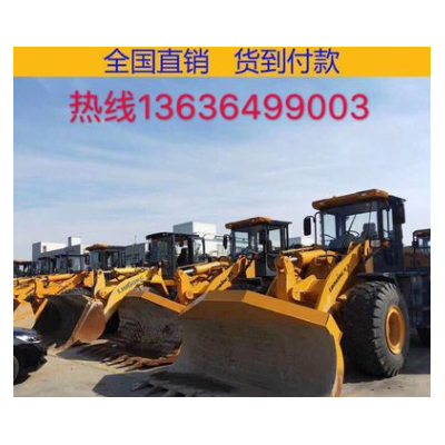 上海現(xiàn)場(chǎng)真品鏟車裝載機(jī)30/50裝載機(jī)，供應(yīng)龍工臨工柳工