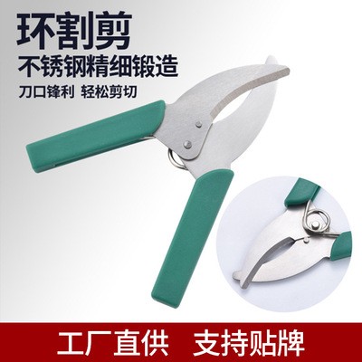 廠家直供園林環割剪不銹鋼園藝剪刀農用果樹嫁接剪