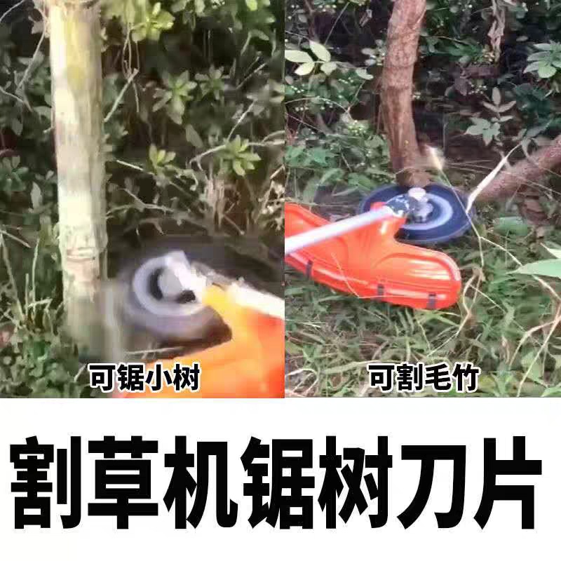 微信圖片_20200406213951