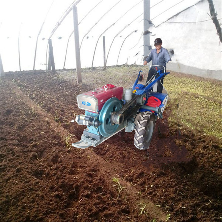 5_1007_1557658_800_800_副本_副本.j