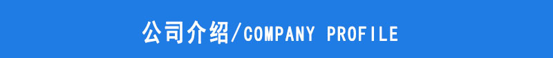 公司簡介標(biāo)題