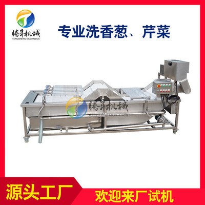 現(xiàn)貨供應 大型香蔥芹菜清洗機 洗蔥機 大蔥清洗設備 可定制
