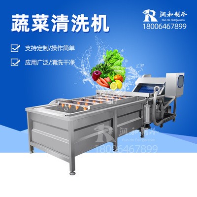 連續(xù)式葉菜類清洗線 連鎖餐飲中央廚房洗菜機(jī) 全自動(dòng)蔬菜清洗機(jī)