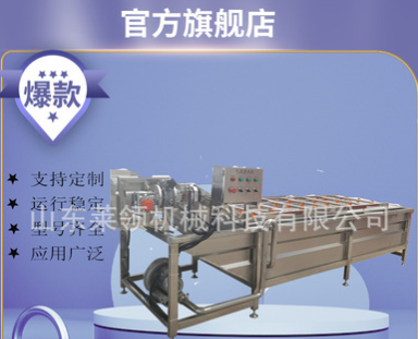 氣泡沖浪噴淋洗果機(jī) 龍須菜車前草清洗機(jī)器 中草藥薄荷氣泡清洗機(jī)
