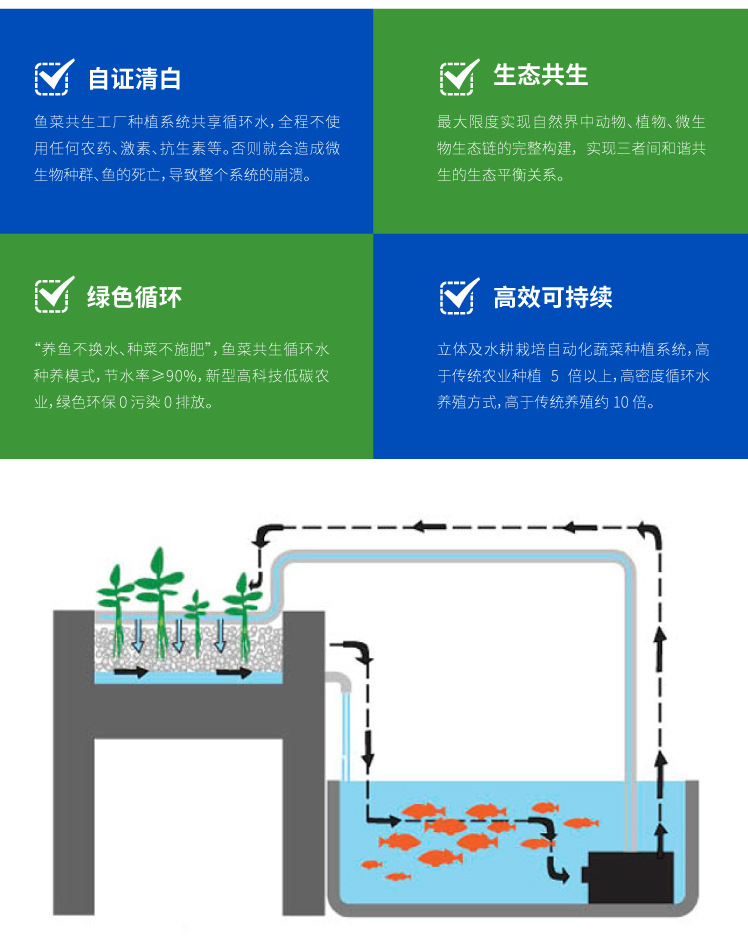 魚(yú)菜共生系統(tǒng)