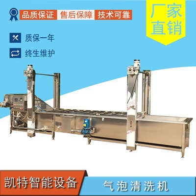 艾草清洗機葡萄干清洗機蘿卜加工全套設備廠家銷售支持定制