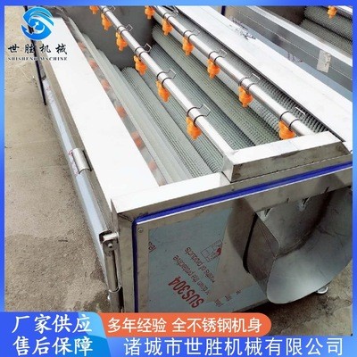 供應黨參毛輥清洗機 不銹鋼毛刷清洗機 蓮藕去皮清洗機設備