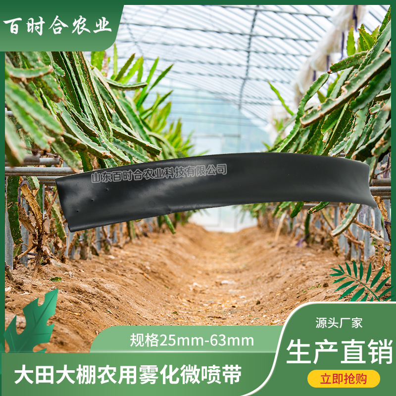 大田大棚農(nóng)用噴灌霧化PE微噴帶山東百時(shí)合農(nóng)業(yè)科技有限公司