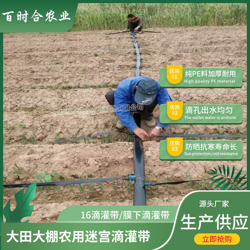 迷宮滴灌帶價格廠家山東百時合農業科技有限公司