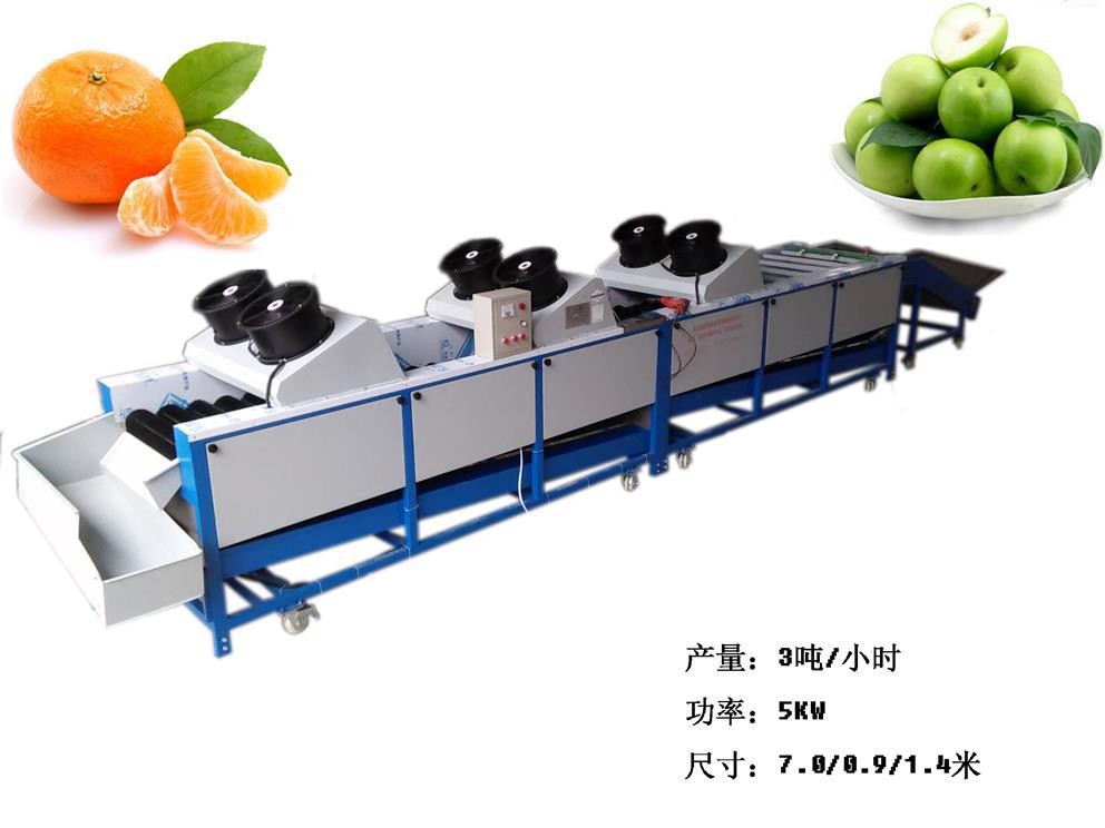 水果機 毛刷清洗機 臍橙馬鈴薯分級機 廠家直銷 果蔬洗果設備