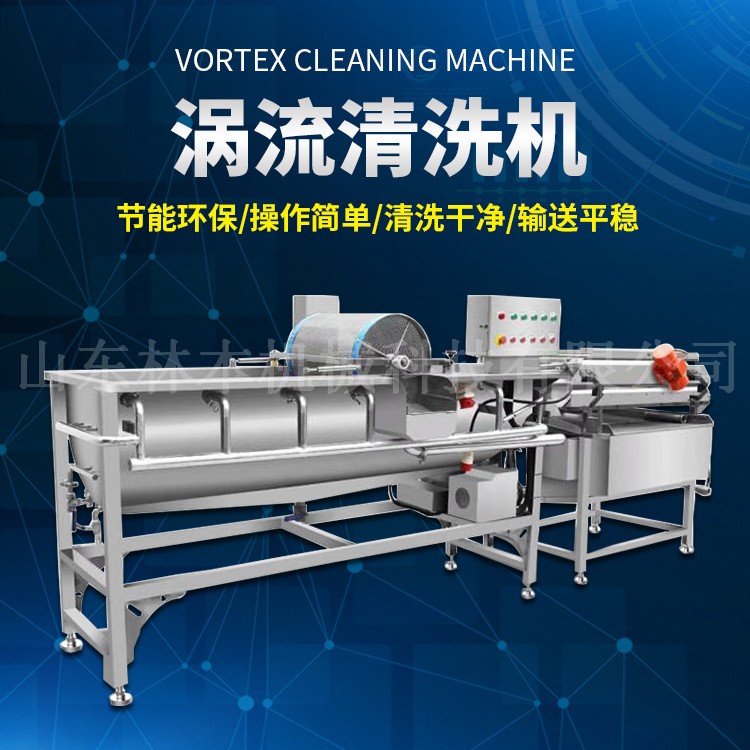 商用菠蘿渦流清洗機 不銹鋼蔬菜洗菜清洗機 全自動凈菜流水線洗菜