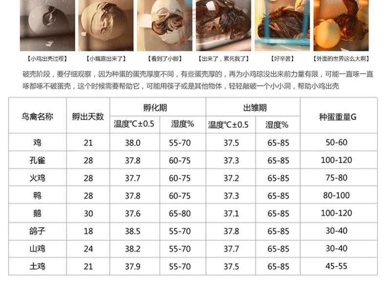 O1CN01k7PMkC25PkgxxhKx6_!!2815