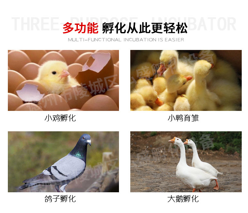 弘盛詳情_02.jpg