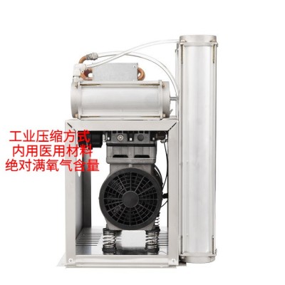 廣州廠家現貨工業10L制氧機高濃度分子篩吸氧機可出口氧氣濃縮器