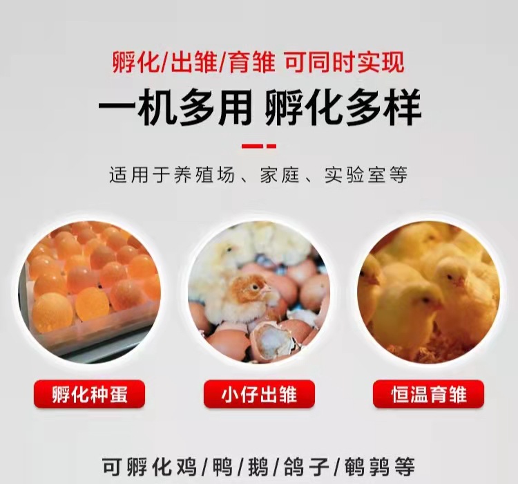 微信圖片_20211127120124