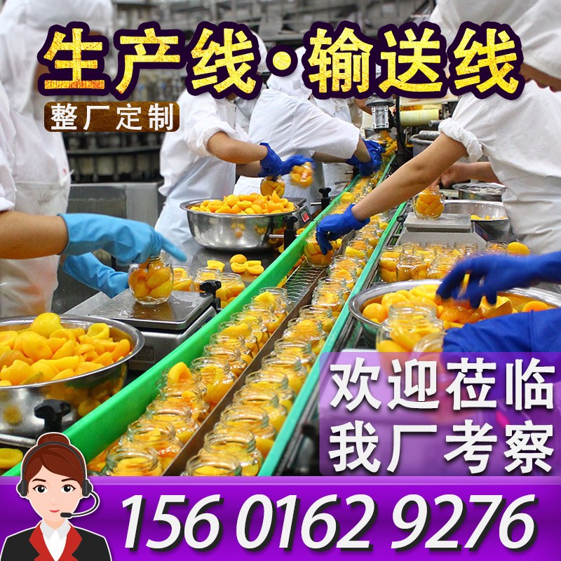 柔性鏈板輸送機丹東水果罐頭生產線傳送帶設備爆款黃桃分揀輸送線