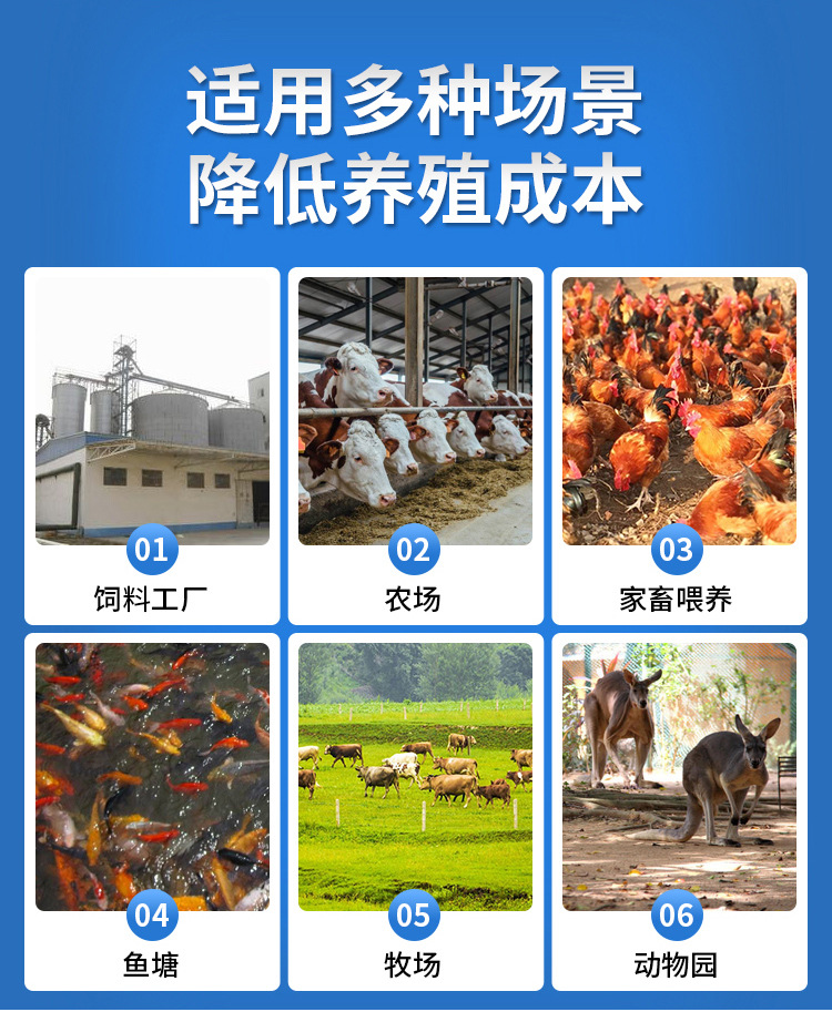 O1CN0158xojy1enZcLQmQsd_!!3368