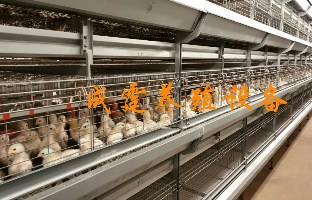 微信圖片_20211222163531