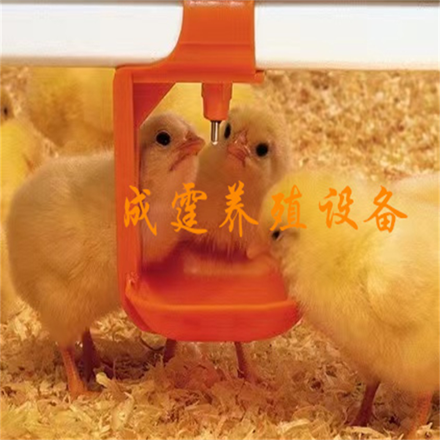 3ae16c2722b268ad7fd0866b6f532a