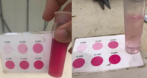 16藍靈的純氧溶氧器為何“難產(chǎn)”？1