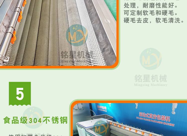 銘星詳情1_10.jpg