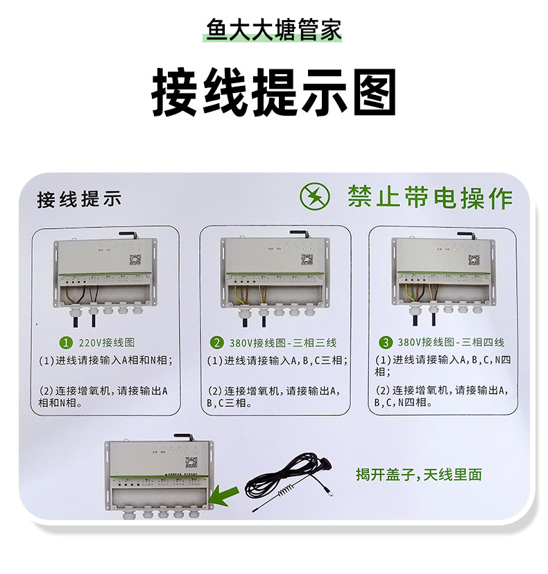 魚大大_06.jpg
