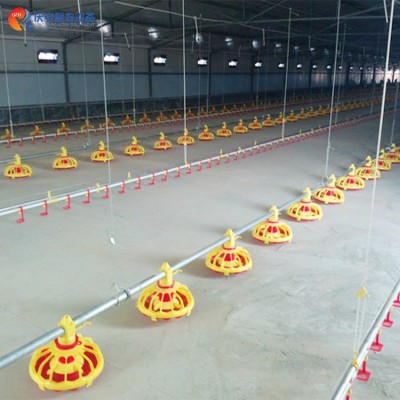 全自動 QZH 高端平養 商品肉雞料線 雞用 養雞畜牧設備