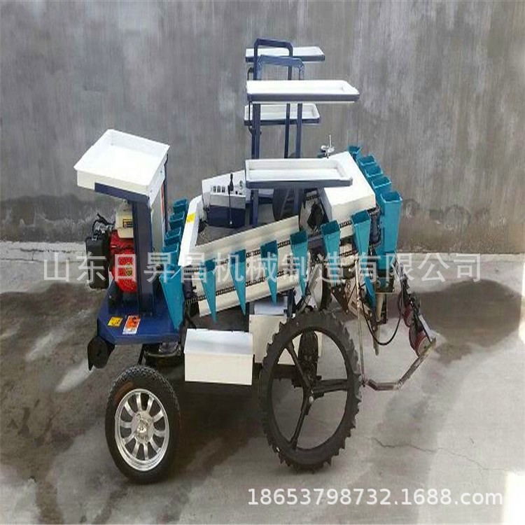 蔬菜移栽機 種植多種蔬菜移栽機 ,廠家低價直銷