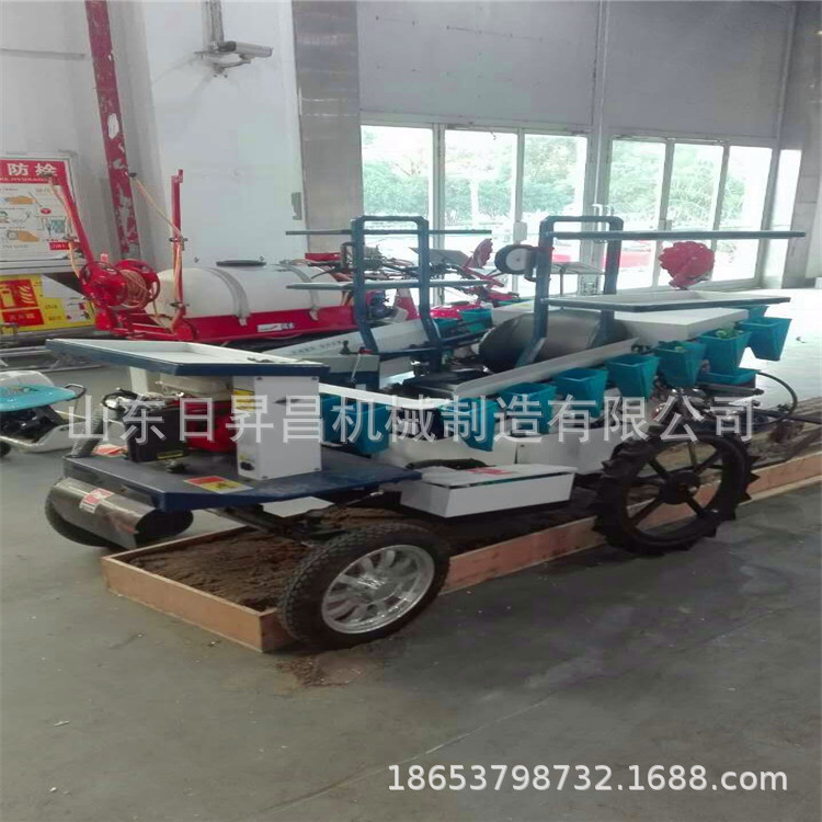 mmexport1491705229961.jpg