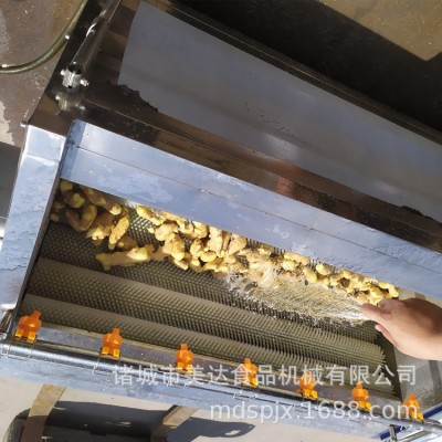 商用 果蔬去皮清洗機(jī) 全自動(dòng)毛輥毛刷土豆芋頭去皮清洗設(shè)備機(jī)
