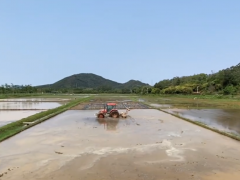 農忙正當時！機械化插秧助力街口街艾米稻香農業園按下春耕“加速鍵”