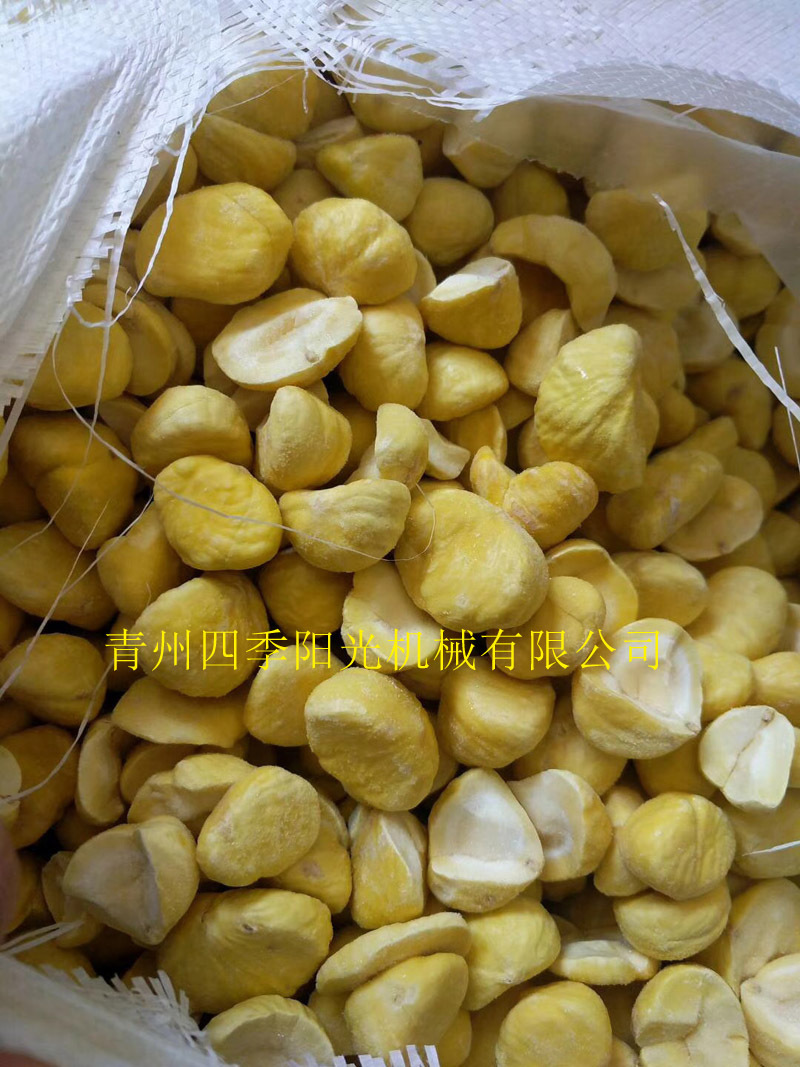 循環鏈條式速凍機