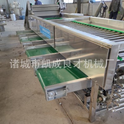 滾杠式櫻桃車?yán)遄悠咸汛髼椇颂曳诌x機(jī) 廠家直銷