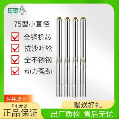 輝騰深井75型3寸潛水泵220v水泵高揚程家用小型深水泵井水抽水泵