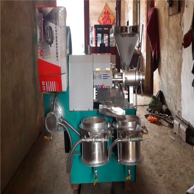 螺旋炸油機商用自動榨油山茶籽油設(shè)備花生牙麻籽榨油機廠家批發(fā)