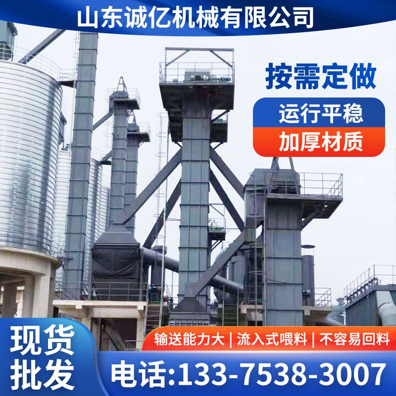 廠家直供NE板鏈提升機(jī)運行穩(wěn)定斗式提升機(jī)礦山水泥NE50-100提升機(jī)