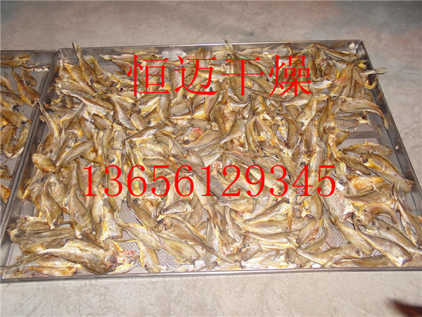 魚圖片5_副本
