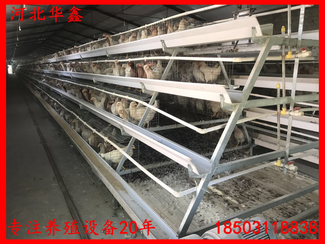 寰俊鍥劇墖_201708261610057