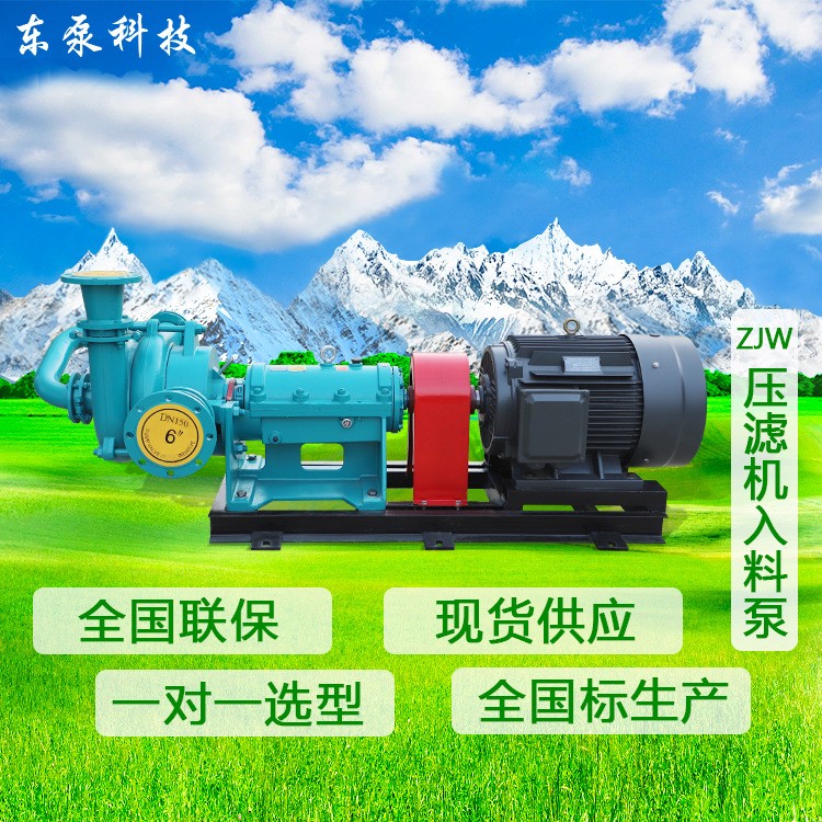 山東東泵 臥式ZJW 現(xiàn)貨供應(yīng) 壓濾機(jī)入料泵雜質(zhì)泵污泥處理泵
