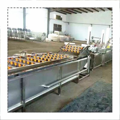 廠家生產果蔬清洗機 桑葉清洗機 大白菜辣椒氣泡噴淋清洗機