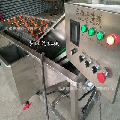 蘋(píng)果梨子橙子清洗風(fēng)干設(shè)備 山竹去螞蟻氣泡清洗機(jī) 高壓噴淋清洗機(jī)