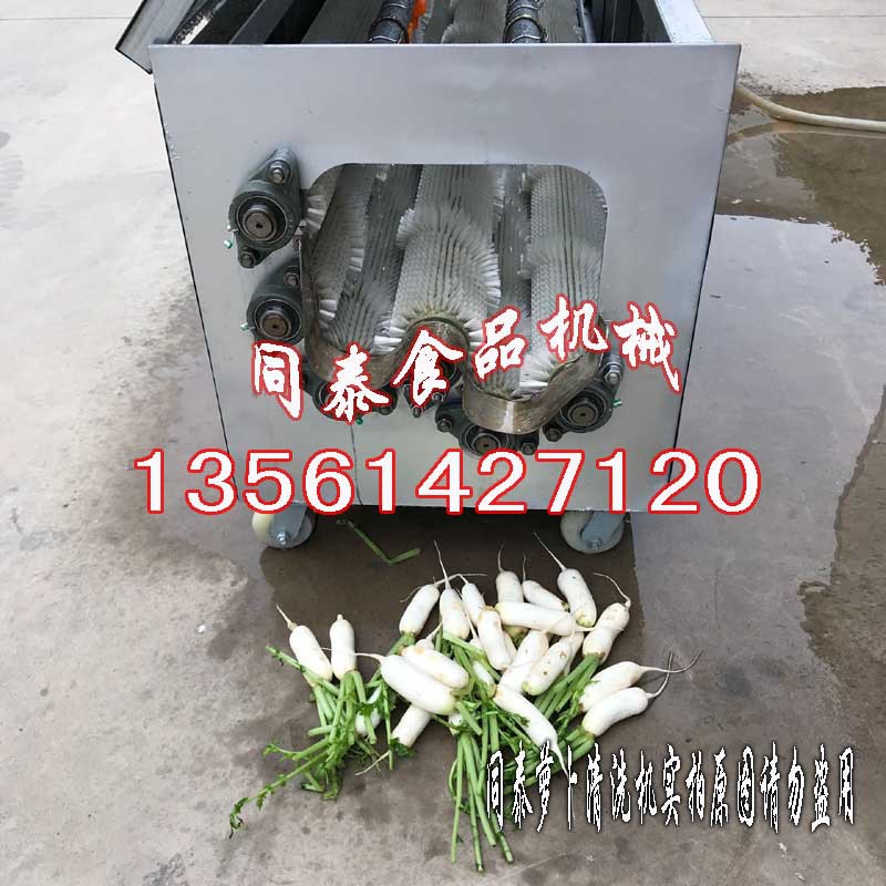 韓國(guó)小蘿卜清洗機(jī)