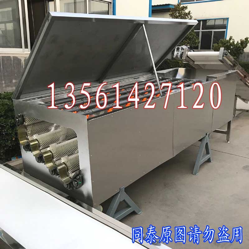 輸送白蘿卜清洗機1