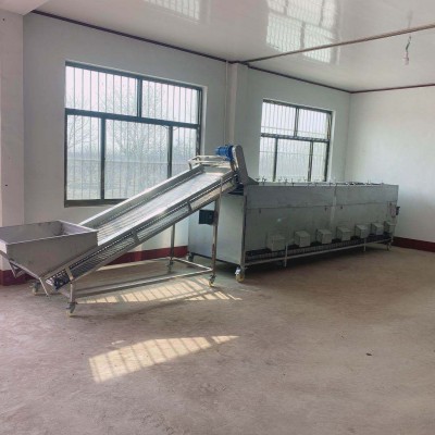 圣女果滾杠分級(jí)機(jī)輥杠 分級(jí)均勻 不傷表皮 廠銷