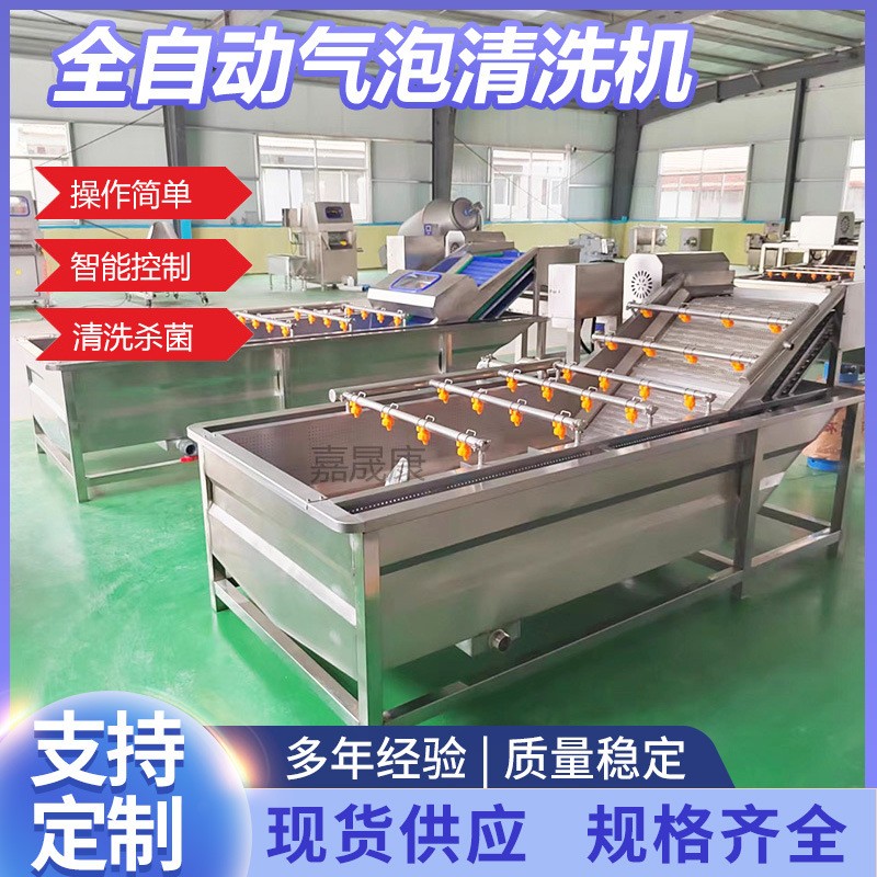 全自動氣泡清洗機葉類蔬菜清洗機氣泡翻滾清洗機不銹鋼果蔬清洗機
