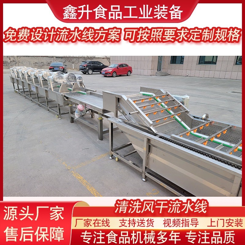 藍莓清洗機 全自動果蔬清洗風干流水線 不銹鋼毛豆清洗風干設備