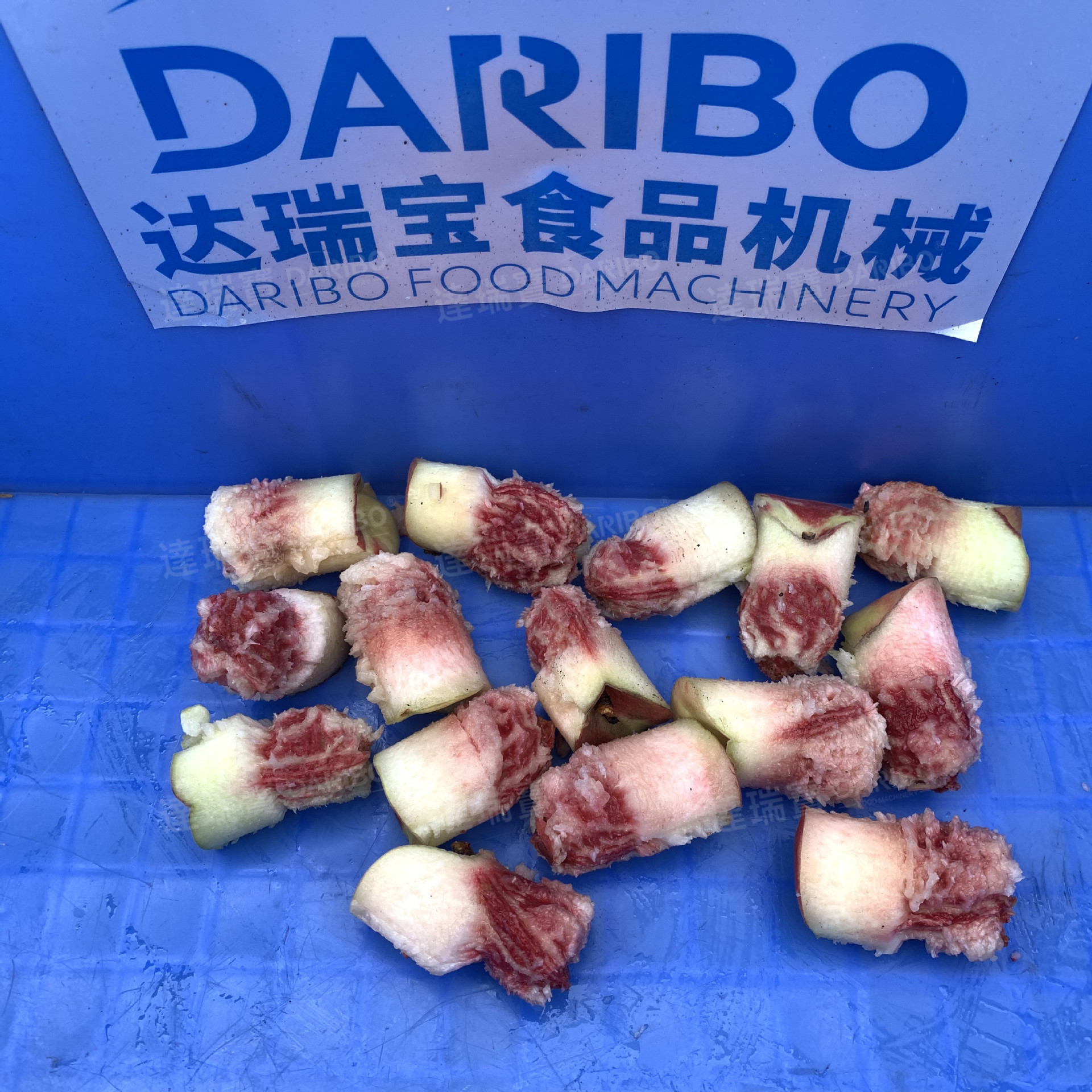桃核-1.JPG