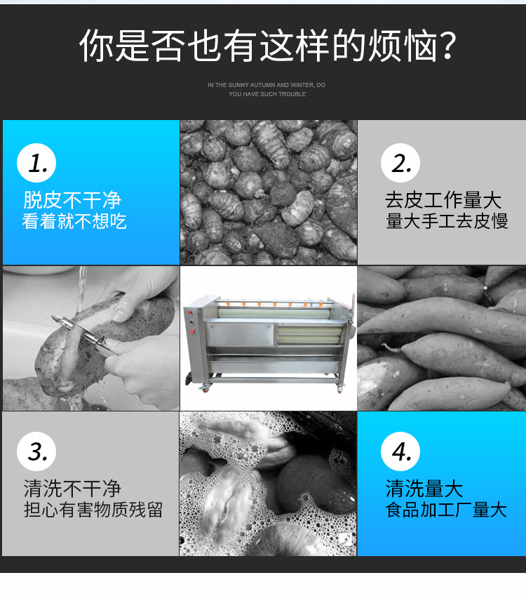 毛刷去皮清洗機_02