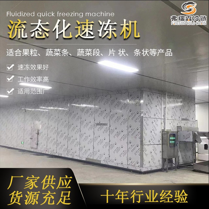 速凍西蘭花加工設備流水線 花椰菜速凍機 食品連續式速凍機